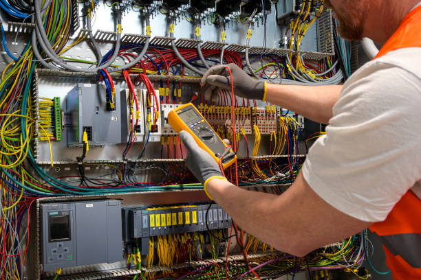 Best Electric Panel Repair  in Iola, WI